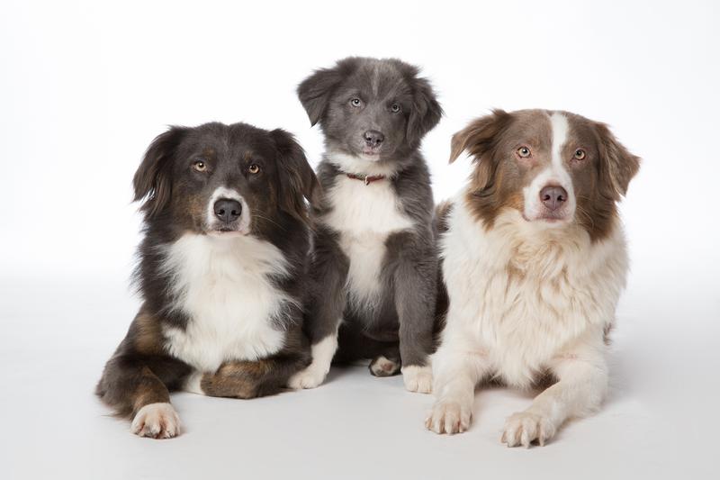 phpThumb-cache-gabrieles-fotowelt